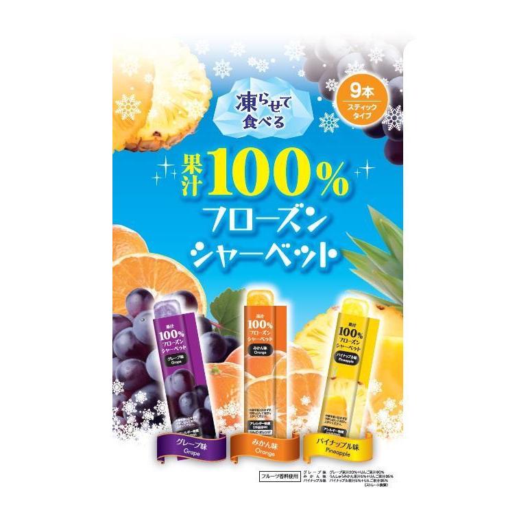 リボン 果汁100％フローズンシャーベット 9本入　48袋 RIBBON リボン 果汁100％フローズンシャーベット 9本×16個 : おかげ