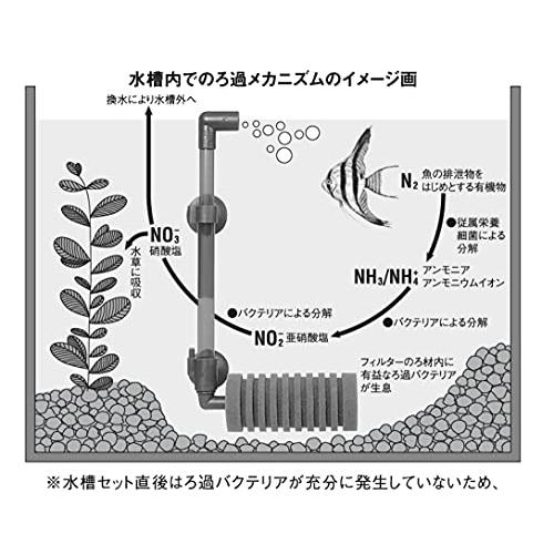 テトラ (Tetra) テスト 6in1試験紙 5枚 水質検査 テスト 総硬度 硝酸塩 亜硝酸塩 塩素 炭酸塩 PH｜okaidoku-store22｜05