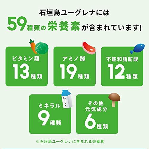 【公式】 からだにユーグレナ Green Powder 30本 粉末 ユーグレナ 健康食品 青汁 健康 ビタミン ミネラル 食物繊維 ミドリムシ eu｜okaidoku-store22｜05