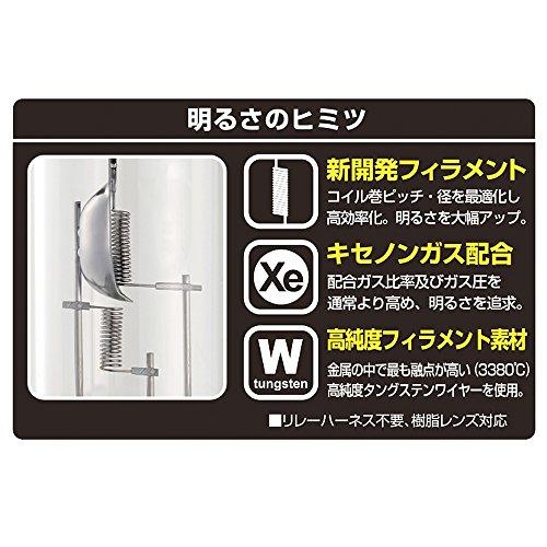 IPF ヘッドライト フォグランプ ハロゲン H1 バルブ SLB X8 6100K 61L1|okaidoku-store22|03