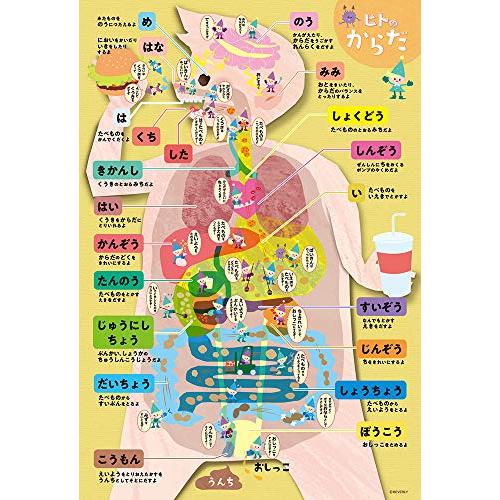 【日本製】 ビバリー 80ピース ジグソーパズル 学べるジグソーパズル からだおぼえちゃおう! (26×38cm)80-005｜okaidoku-store22｜02