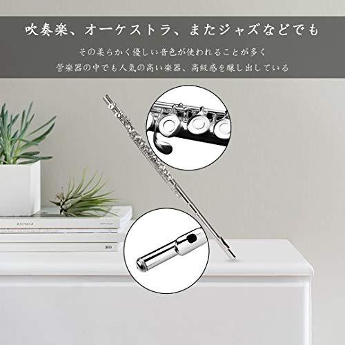 Seika 16穴 Cキー フルート セット 初心者・上級者向け 高級白銅 Seika 16穴 Cキー フルート セット 初心者・上級者向け 高級白銅