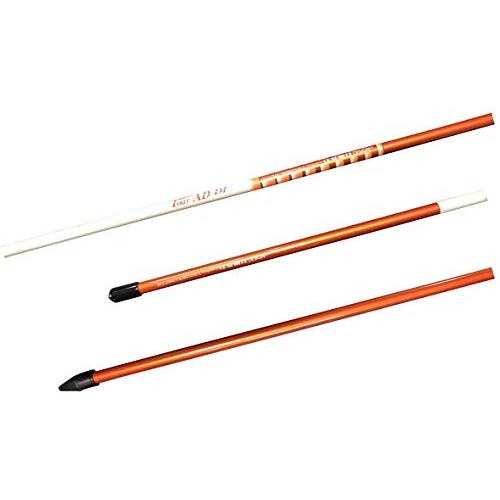 希少品⭐️グラファイトデザイン アライメントスティック　ピンク　２本＆カバー 希少品⭐️グラファイトデザイン アライメントスティック ピンク