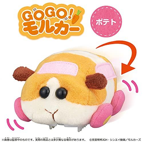 バンダイ(BANDAI) GO GO!モルカー ポテト : お買い得ネットショップ