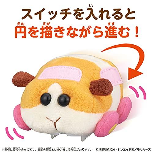 バンダイ(BANDAI) GO GO!モルカー ポテト : お買い得ネットショップ