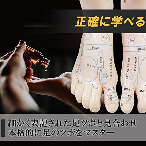 レインボー療法マニュアル2010➕テープ２２シート➕手のツボ模型 レインボー療法マニュアル2010➕テープ22シート➕手のツボ模型