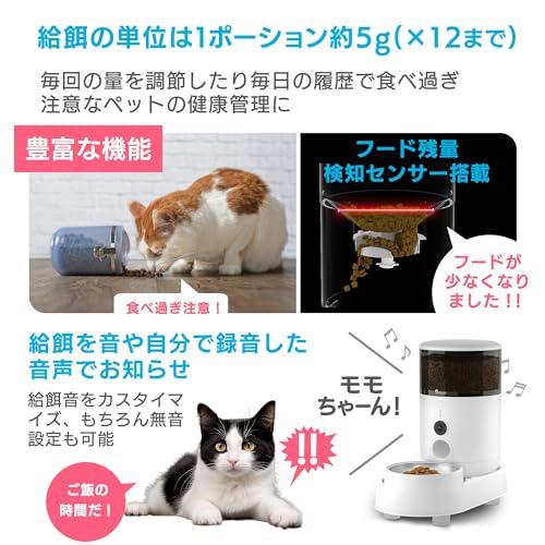 美品★もぐもぐウォッチャー 自動給餌器　犬　猫 ペット食育士監修 *Style もぐもぐウォッチャー 自動給餌器 高さ調整
