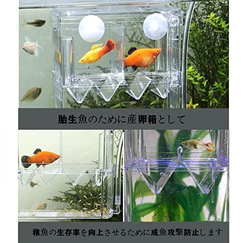 Yurika 魚 繁殖隔離ボックス 2段式2箇所 産卵ケース 透明 Yurika 魚 繁殖隔離ボックス 2段式2箇所 産卵ケース 透明