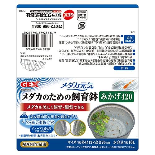 特大亀鉢 t2024-0913-509543-07.jpg