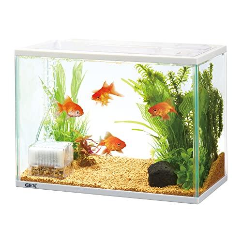 GEX 金魚元気 ぶくぶく水キレイセットM ロカボーイS付　水槽スターターセット ジェックス GEX 金魚元気 ぶくぶく水キレイセットM 初めて飼育