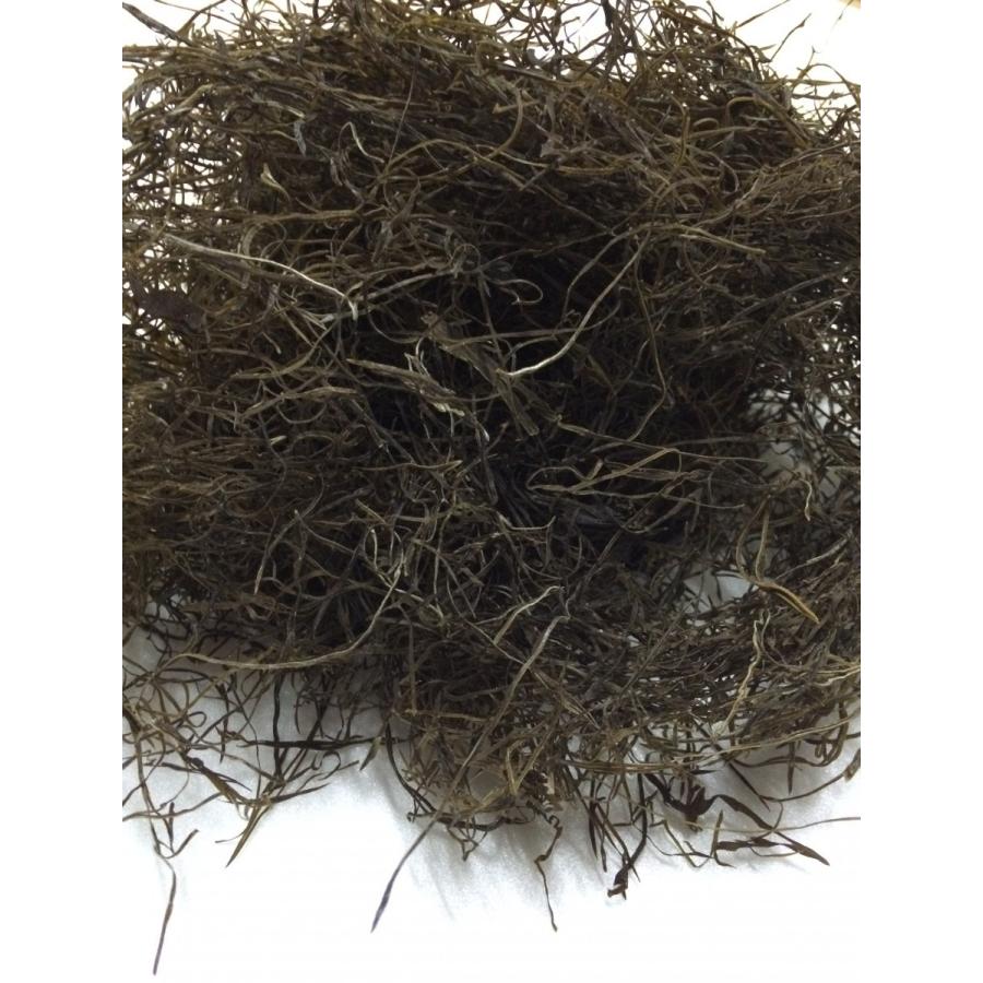 きざみ昆布 1kg 北海道産 刻み昆布 糸昆布 昆布 こんぶ コンブ