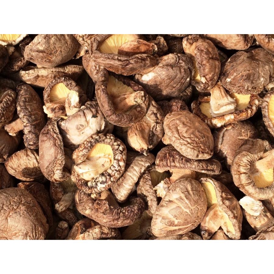 椎茸 国産 干し椎茸 どんこ 500ｇ 5 6ｃｍ 選別品 しいたけ シイタケ 送料無料 北海道 沖縄県を省く 01 ことぶきや昆布 ヤフー店 通販 Yahoo ショッピング