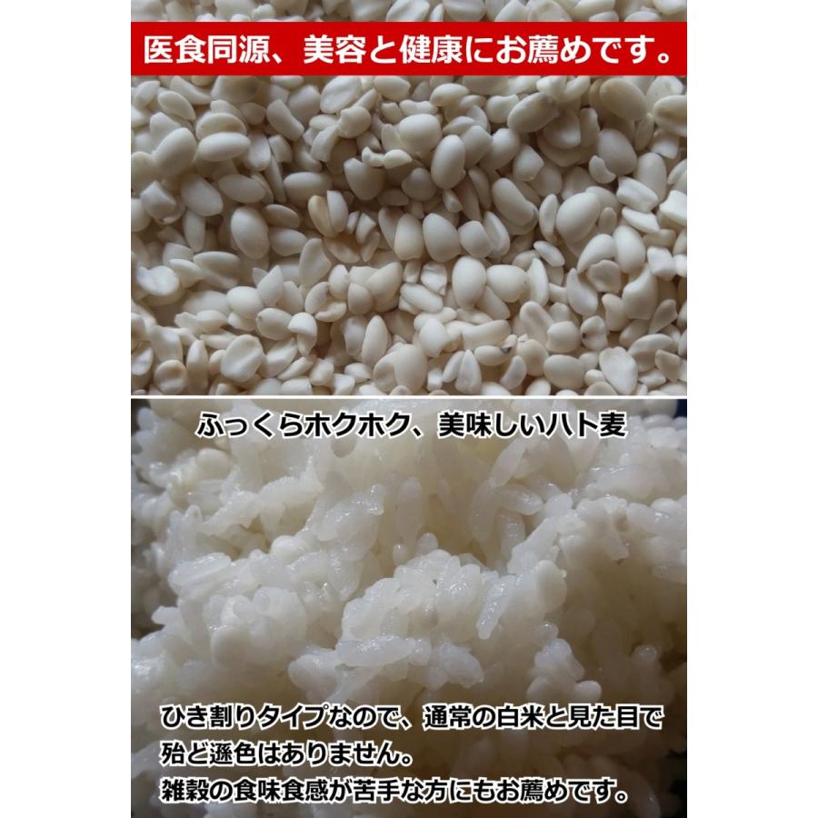 国産 ハトムギ (はと麦) 精白粒 500g｜okaman｜02