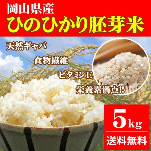 令和6年産新米 朝日米 胚芽米、玄米、無洗米も対応 あさひ米
