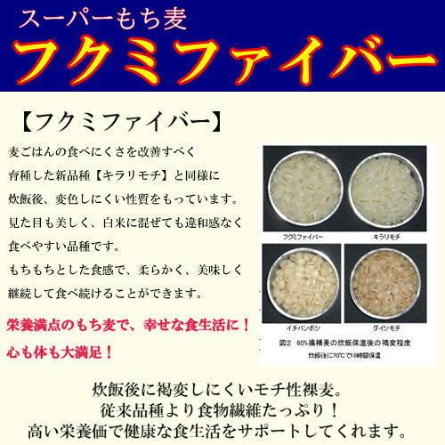 スーパーもち麦 フクミファイバー 5kg (5kg×1袋) 令和5年 岡山県産  送料無料｜okaman｜04