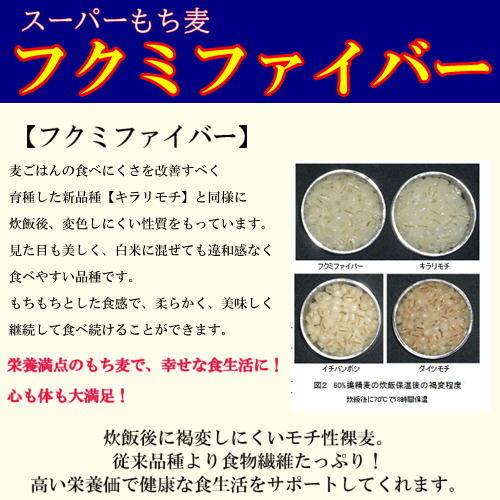 スーパーもち麦 フクミファイバー 950g 令和5年 岡山県産 送料無料｜okaman｜04