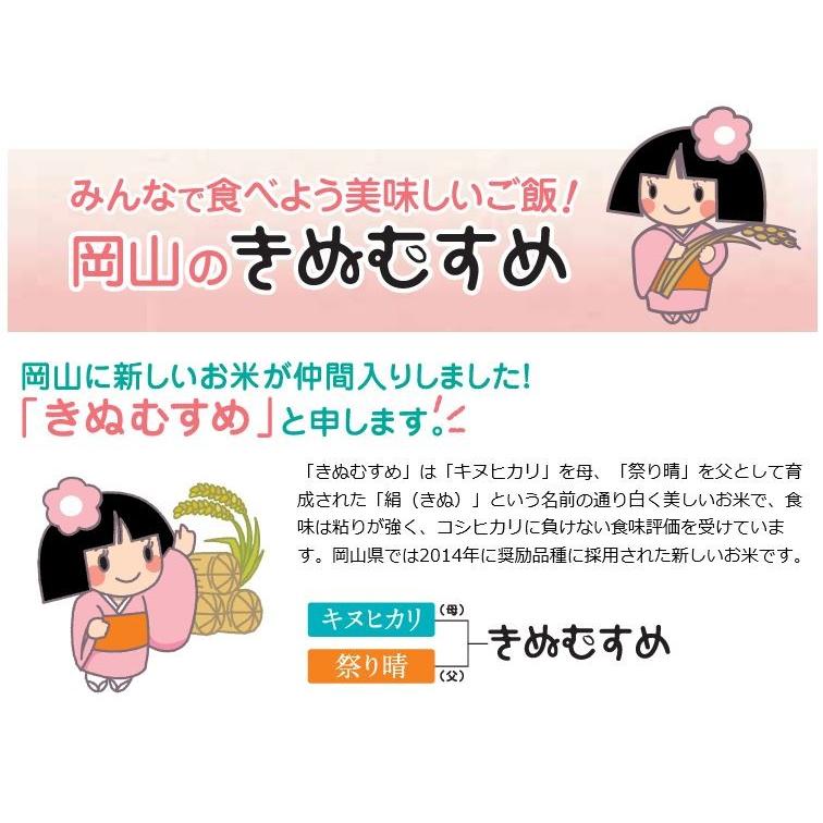 5年産 お米 10kg きぬむすめ 岡山県産 (5kg×2袋) 米 送料無料｜okaman｜03