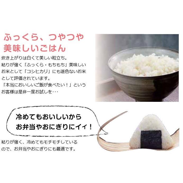 岡萬 米 お米 令和6年産 10kg きぬむすめ 岡山県産 (5kg×2袋 岡萬 米 お米 令和6年産 10kg きぬむすめ 岡山県産 (5kg×2袋