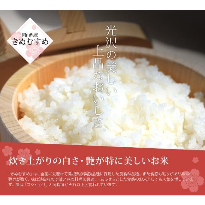 岡萬 米 お米 令和6年産 5kg きぬむすめ 岡山県産 (5kg×1袋 岡萬 米 お米 令和6年産 5kg きぬむすめ 岡山県産 (5kg×1袋
