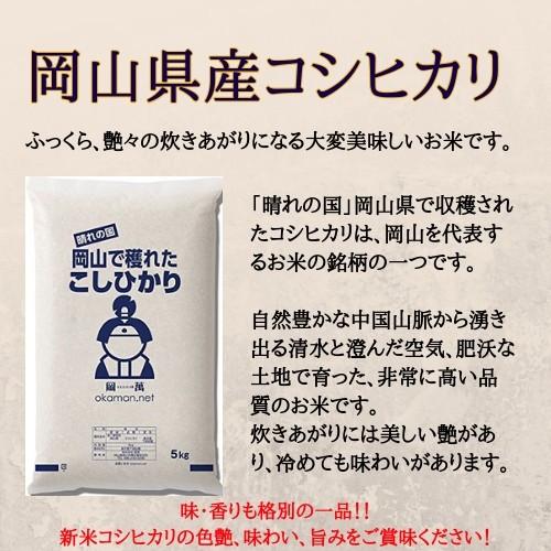 岡萬 米 お米 令和6年産 岡山県産 コシヒカリ 10kg (5kg×2袋 岡萬 米 お米 令和6年産 岡山県産 コシヒカリ 10kg (5kg×2袋