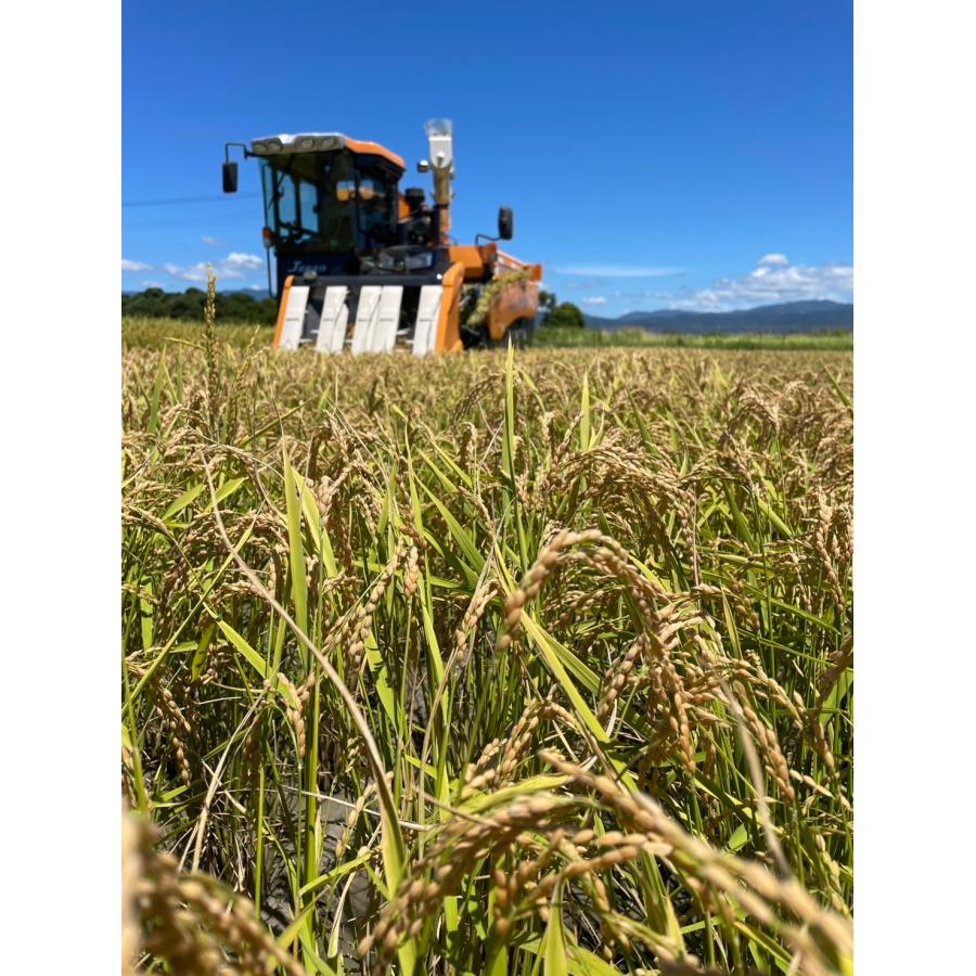 コシヒカリ10.4キロ kometop2.jpeg