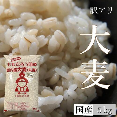 【訳あり】大麦 (丸麦) 国内産 5kg (5kg×1袋)  送料無料（Yahoo!・ももたろう印の岡萬米市場）