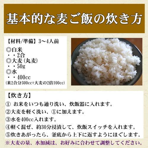 岡萬 【訳あり】大麦 (丸麦) 国内産 5kg (5kg×1袋) 送料無料