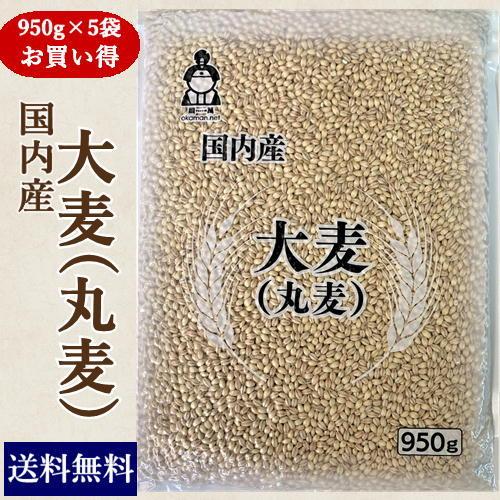 国内産 大麦(丸麦) (950g×5袋) お買い得パック 送料無料｜okaman