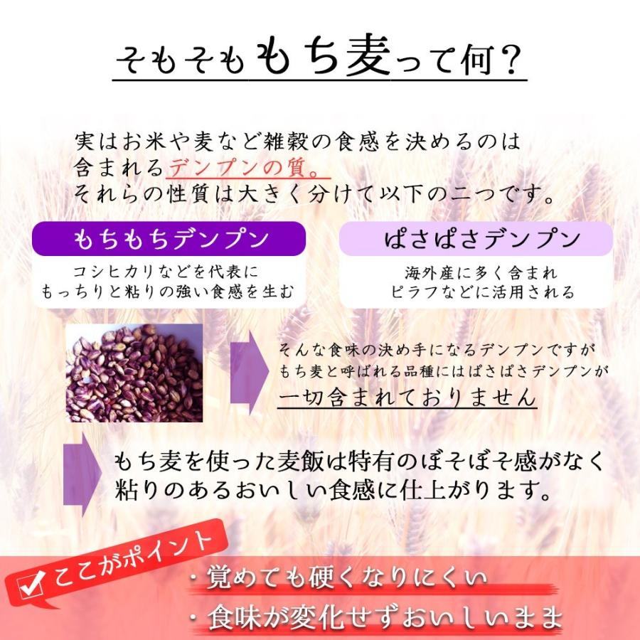 令和5年産 もち麦 ダイシモチ (950g×5袋) 岡山県産 お買い得パック 送料無料｜okaman｜02