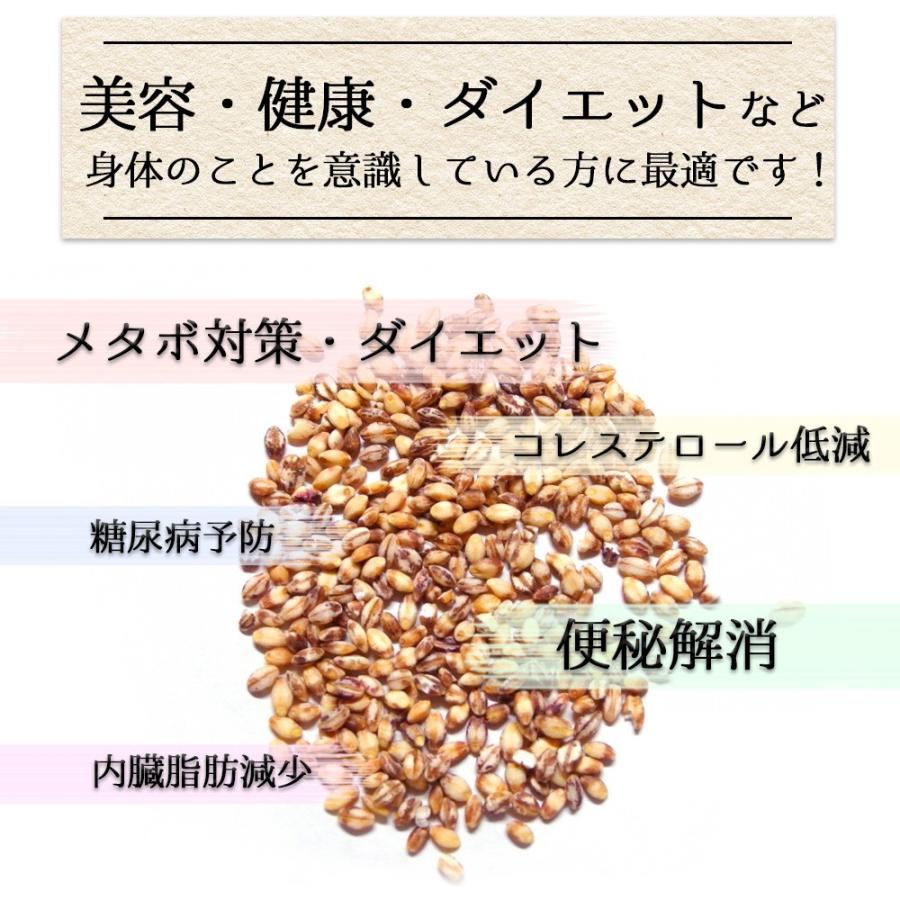 令和5年産 もち麦 ダイシモチ (950g×5袋) 岡山県産 お買い得パック 送料無料｜okaman｜03