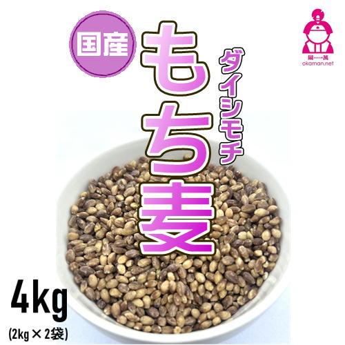 新麦 もち麦 令和7年産 ダイシモチ 4kg (2kg×2袋) 岡山県産 チャック付き の商品画像