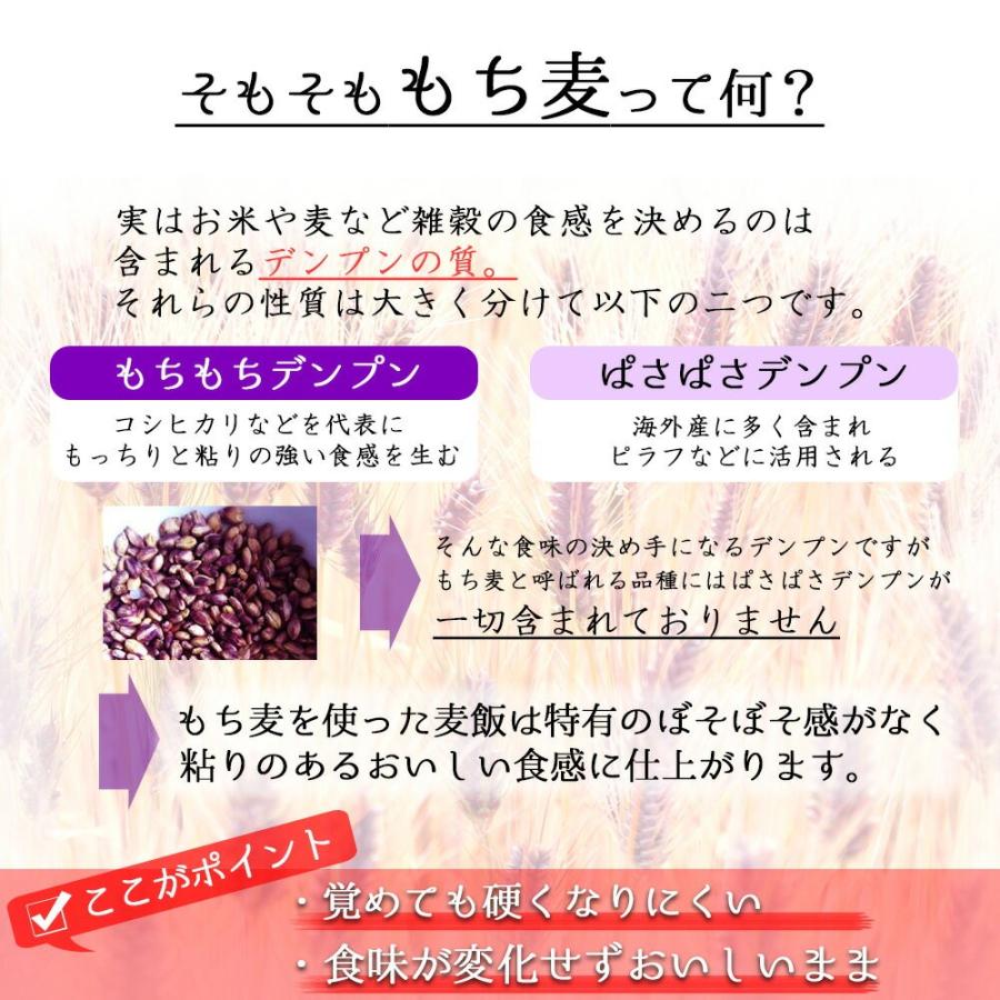 令和5年産 もち麦 ダイシモチ 950g チャック付 岡山県産 送料無料｜okaman｜02