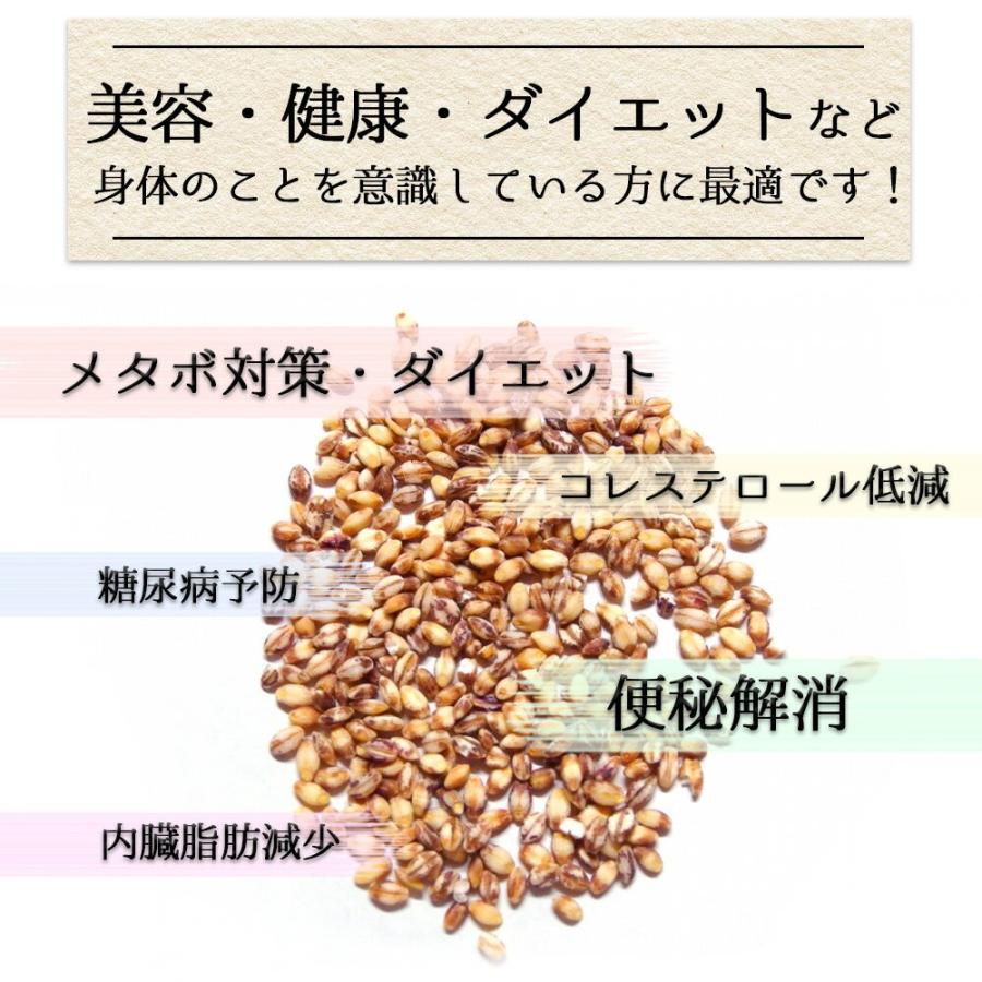 令和5年産 もち麦 ダイシモチ 950g チャック付 岡山県産 送料無料｜okaman｜04