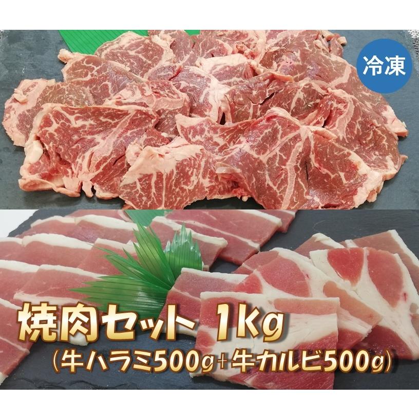 焼肉セット 1kg (牛カルビ・牛ハラミ 各500g)　送料無料 