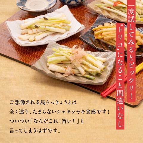 島らっきょう 塩漬け 塩らっきょう キムチ味 250g |  | 12