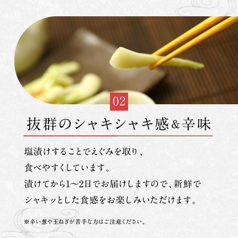 島らっきょう 塩漬け 塩らっきょう 梅味 250g |  | 06