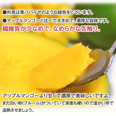 国際ブランド キーツマンゴー 沖縄 マンゴー 大玉 沖縄マンゴー 600g 800g 送料無料新品