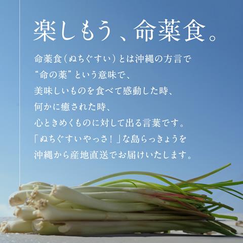 島らっきょう 定番の4種類（塩/梅/キムチ/島唐辛子）から選べる 島らっきょう 100g 10袋 |  | 13