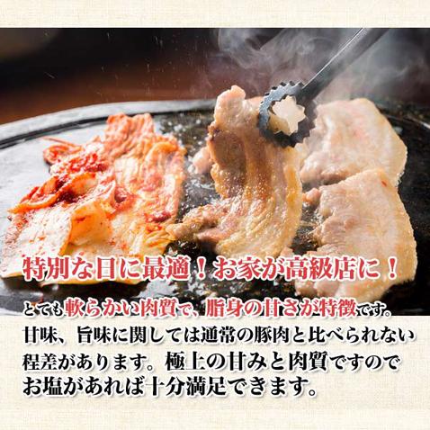 アグー豚 あぐー豚 焼肉 お取り寄せ グルメ ウデ スライス 1000g 4〜6人前 | あぐ〜豚 | 10