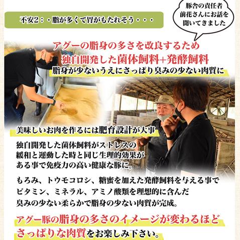 アグー豚 あぐー豚 焼肉 お取り寄せ グルメ バラ スライス 500g 2〜3人前 | あぐ〜豚 | 06