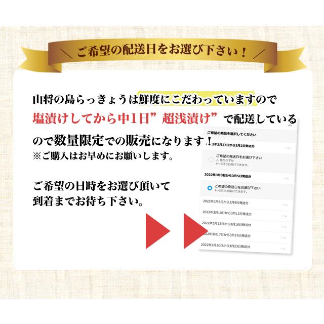 島らっきょう 塩漬け 塩らっきょう  250g 3袋 |  | 16