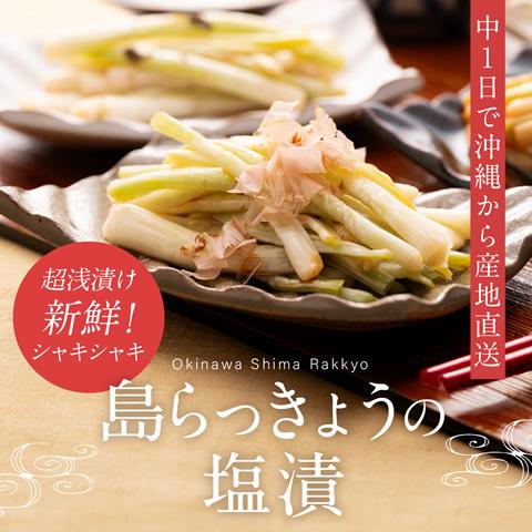 島らっきょう 塩漬け 塩らっきょう 250g 5袋 458 沖縄厳選グルメ専門店 山将 通販 Yahoo ショッピング