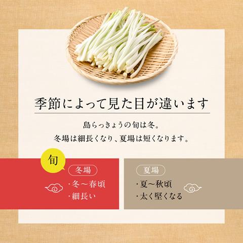 島らっきょう 定番の4種類（塩/梅/キムチ/島とうがらし）から選べる 塩らっきょう 沖縄 100g 5袋 |  | 12