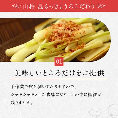 お試し 送料無料 島らっきょう 塩漬け 塩らっきょう 沖縄 グルメ 50g×2袋 |  | 05