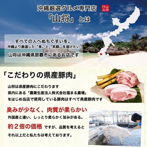 沖縄 豚肉 スペアリブ 骨付き肉 ソーキ骨の煮付 200g 10袋｜okami｜09