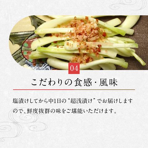 島らっきょう 塩漬け 塩らっきょう 島唐辛子味 250g 沖縄 グルメ お取り寄せ |  | 08