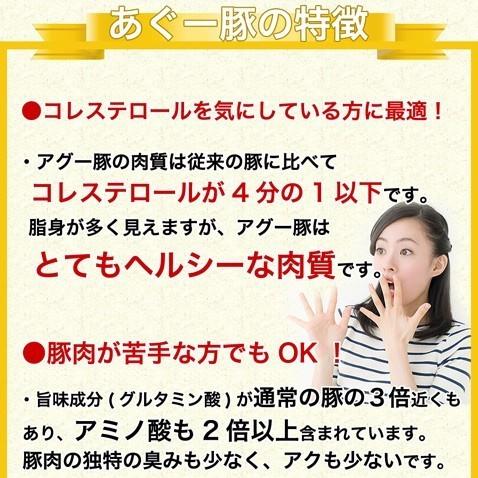 沖縄 アグー豚 あぐー豚 生 ソーセージ 無添加 チョリソー 4本入 | あぐ〜豚 | 07