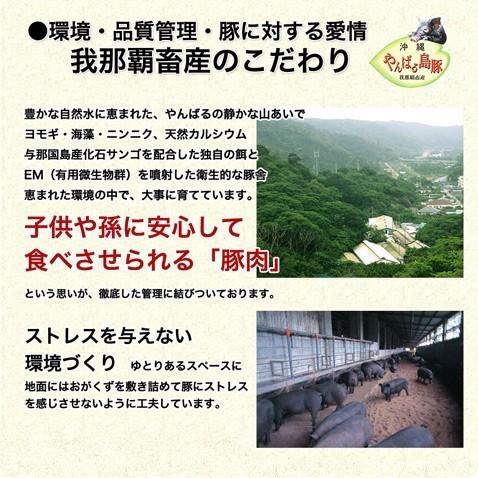 沖縄 アグー豚 あぐー豚 生 ソーセージ 無添加 チョリソー 4本入 | あぐ〜豚 | 08