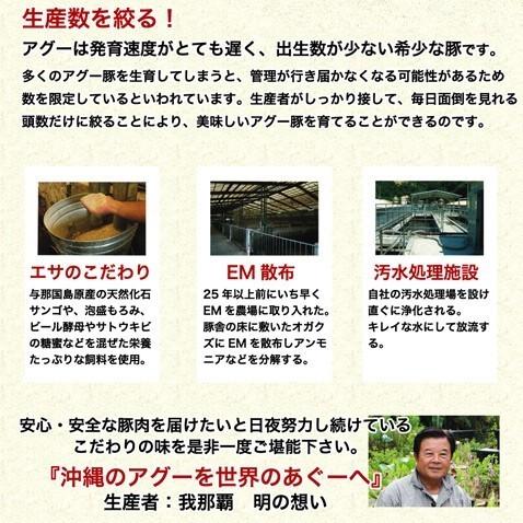 沖縄 アグー豚 あぐー豚 生 ソーセージ 無添加 チョリソー 4本入 | あぐ〜豚 | 09