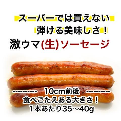 沖縄 アグー豚 あぐー豚 生 ソーセージ 無添加 チョリソー 4本入 | あぐ〜豚 | 03